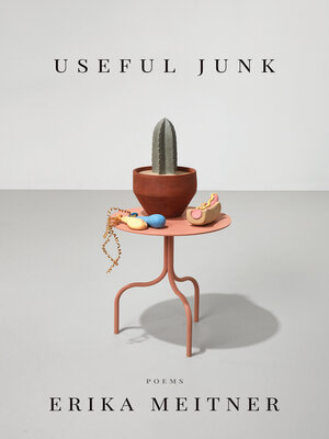cover image of Useful Junk